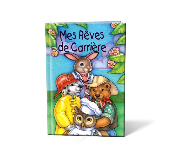 Mes rêves de carrière